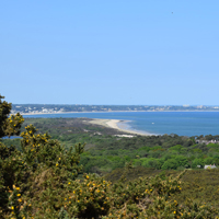 Studland