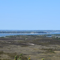 Studland