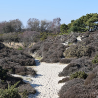 Walk 1