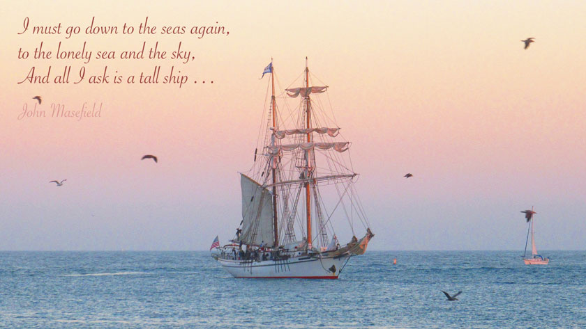 Copyright Lynn Preston