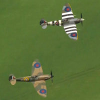 Spitfires