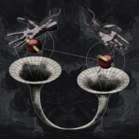 Wormholes