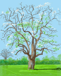 Hockney